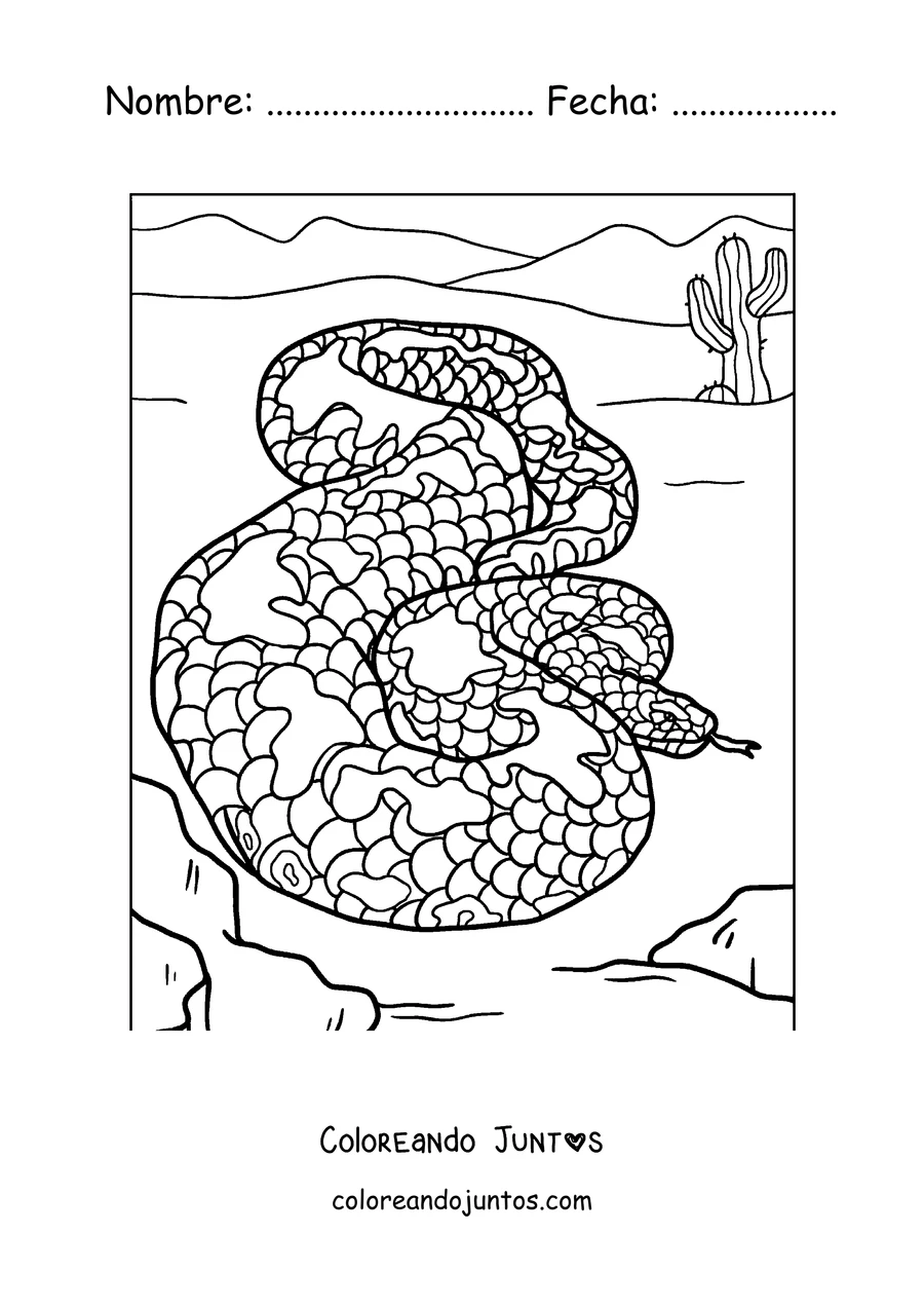 Imagen para colorear de una boa enroscada