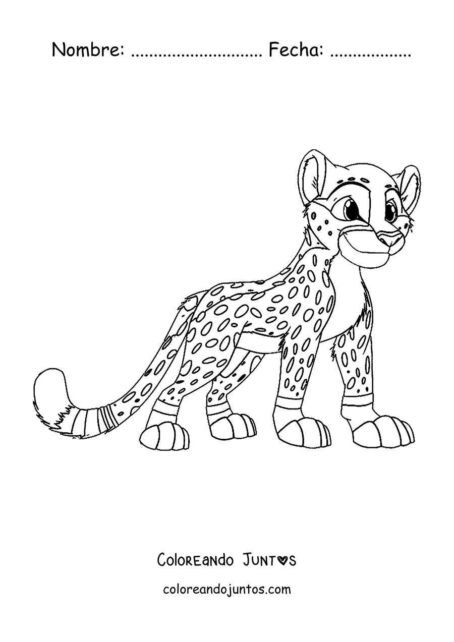 Imagen para colorear de un cachorro de guepardo parado