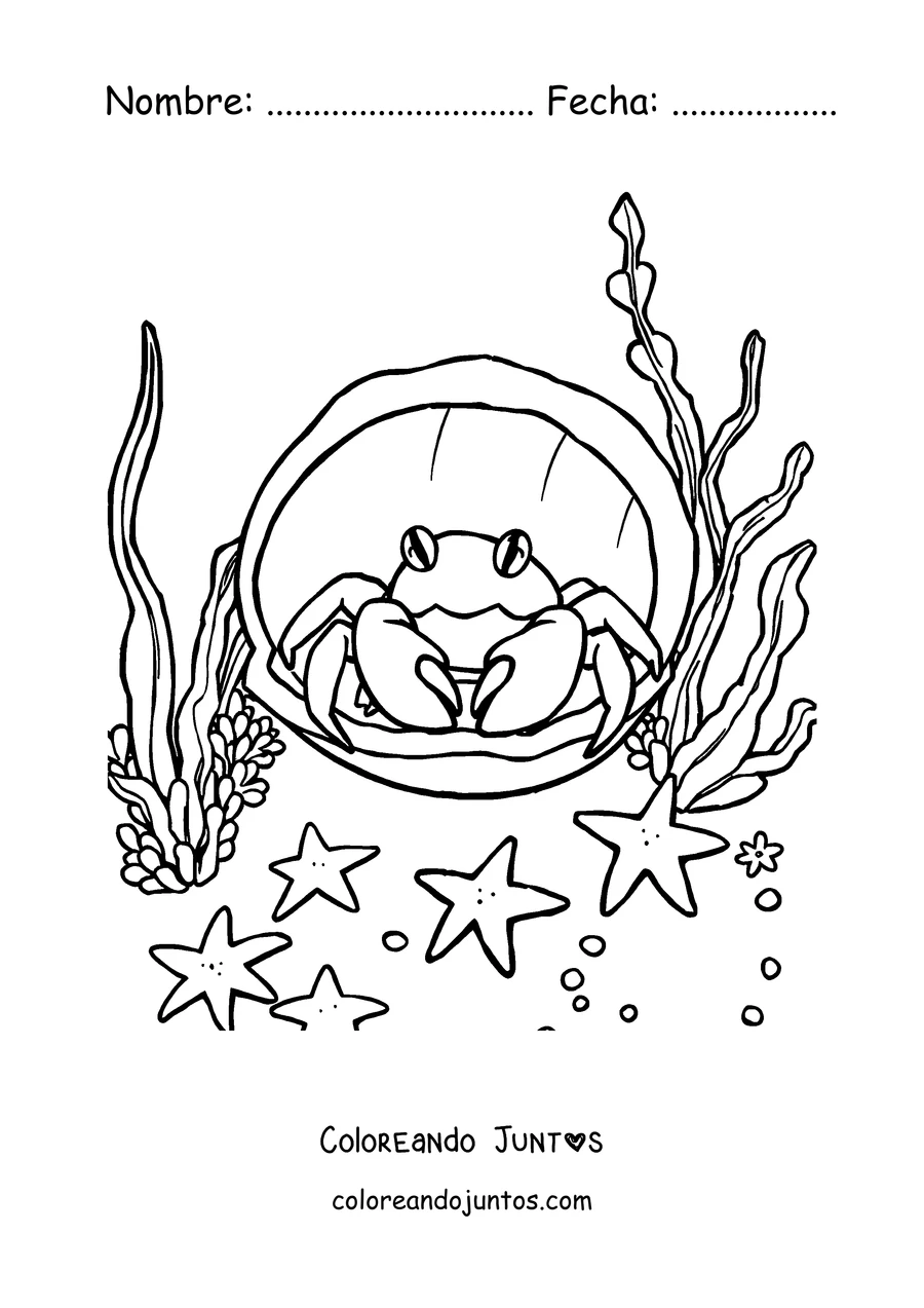 Imagen para colorear de un cangrejo asomado dentro de una concha marina