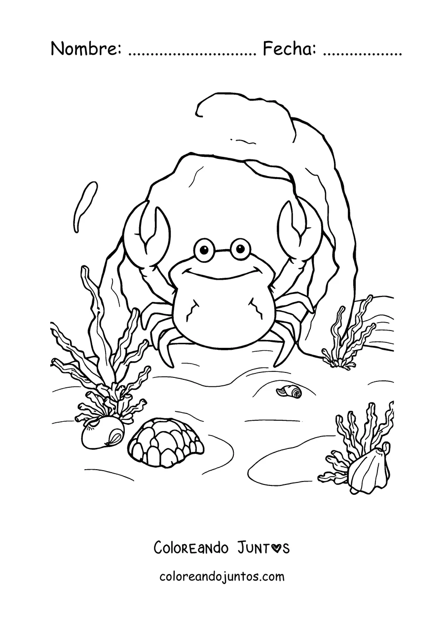 Imagen para colorear de un cangrejo en el fondo del mar entre algas y caracoles