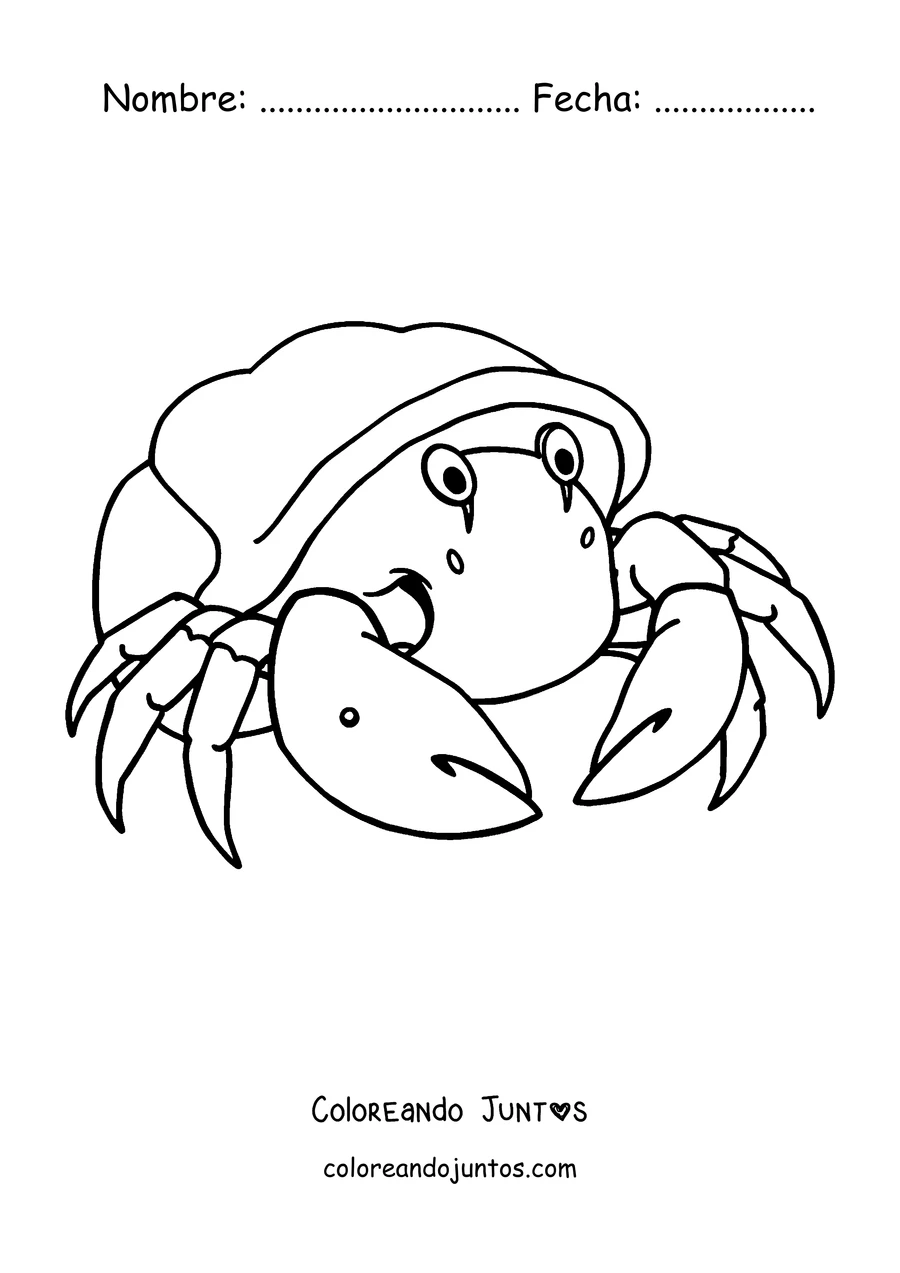 Imagen para colorear de un cangrejo ermitaño en su caracola