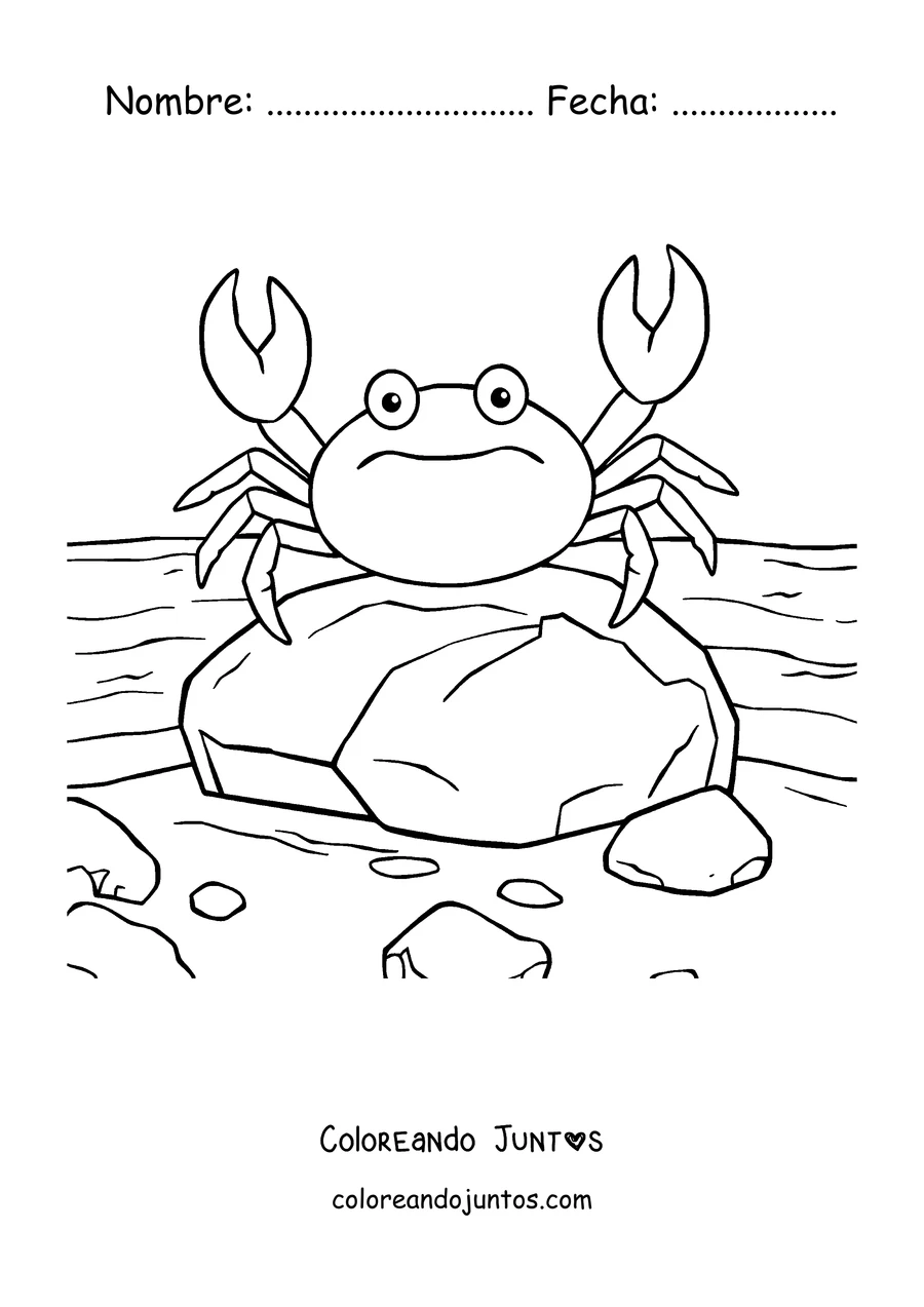 Imagen para colorear de un cangrejo sobre una roca en la orilla