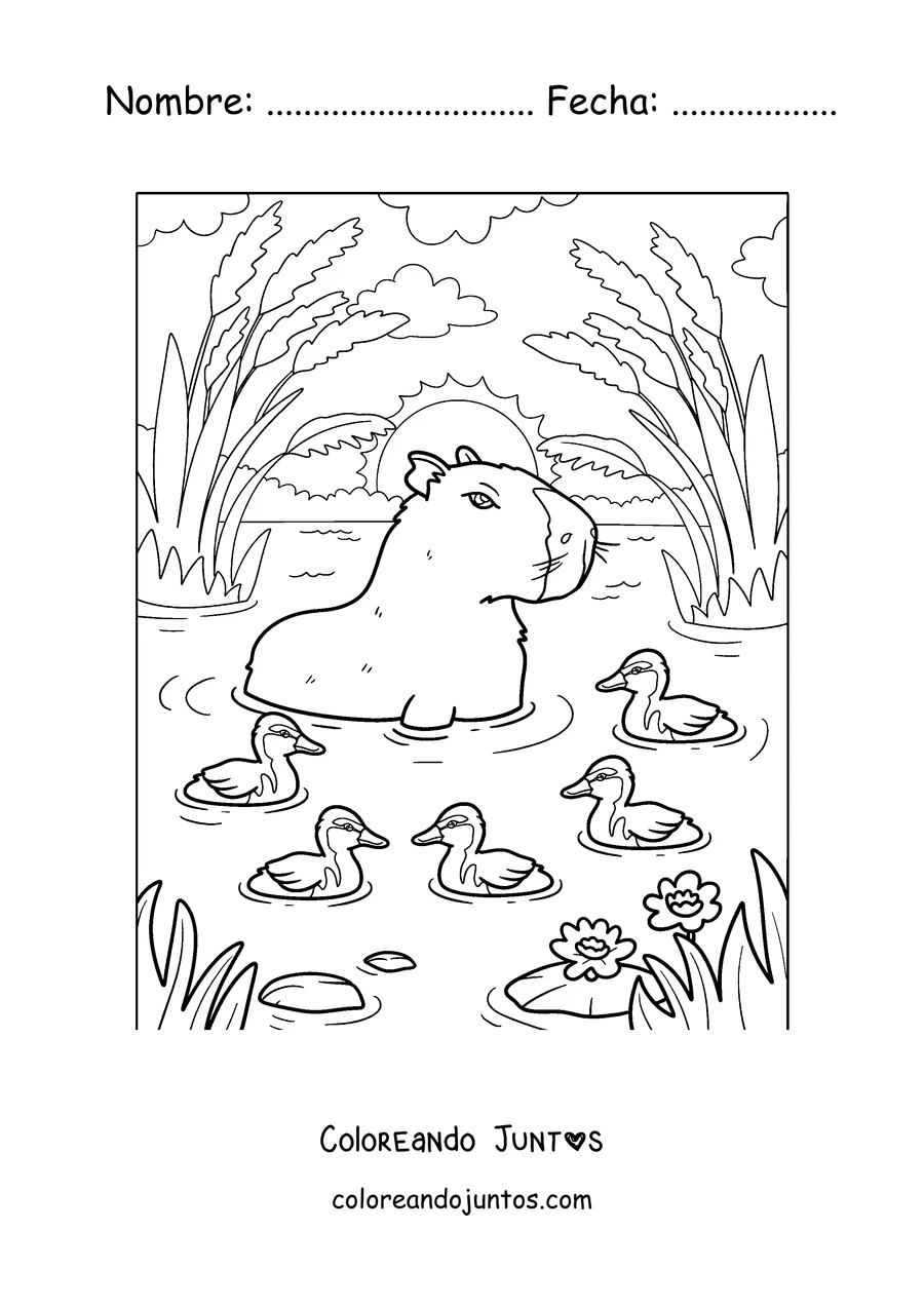 Imagen para colorear de un capibara nadando con patitos