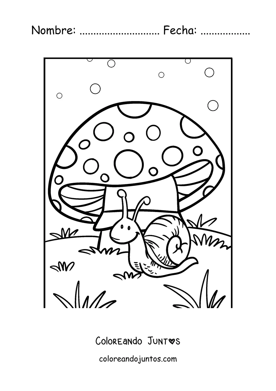Imagen para colorear de un caracol debajo de un hongo