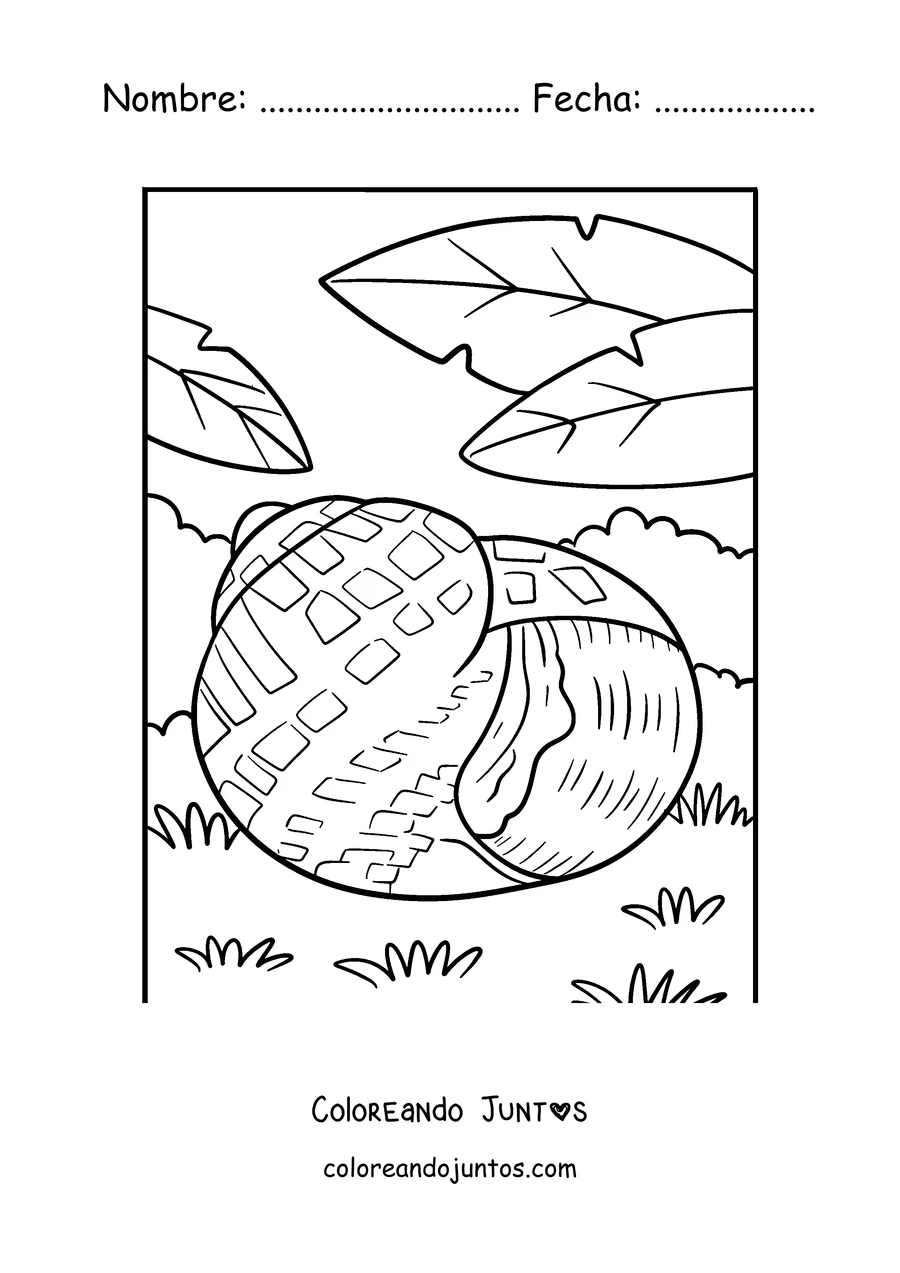 Imagen para colorear de un caracol escondido dentro de su concha