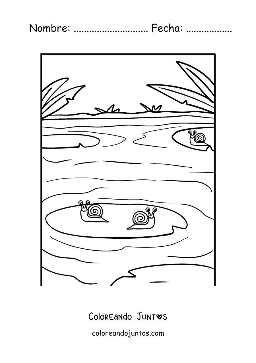 Imagen para colorear de un caracol junto a un estanque con nenúfares