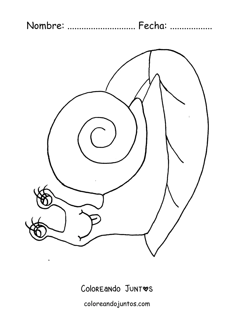 Imagen para colorear de un caracol sobre una hoja con dos caracolitos