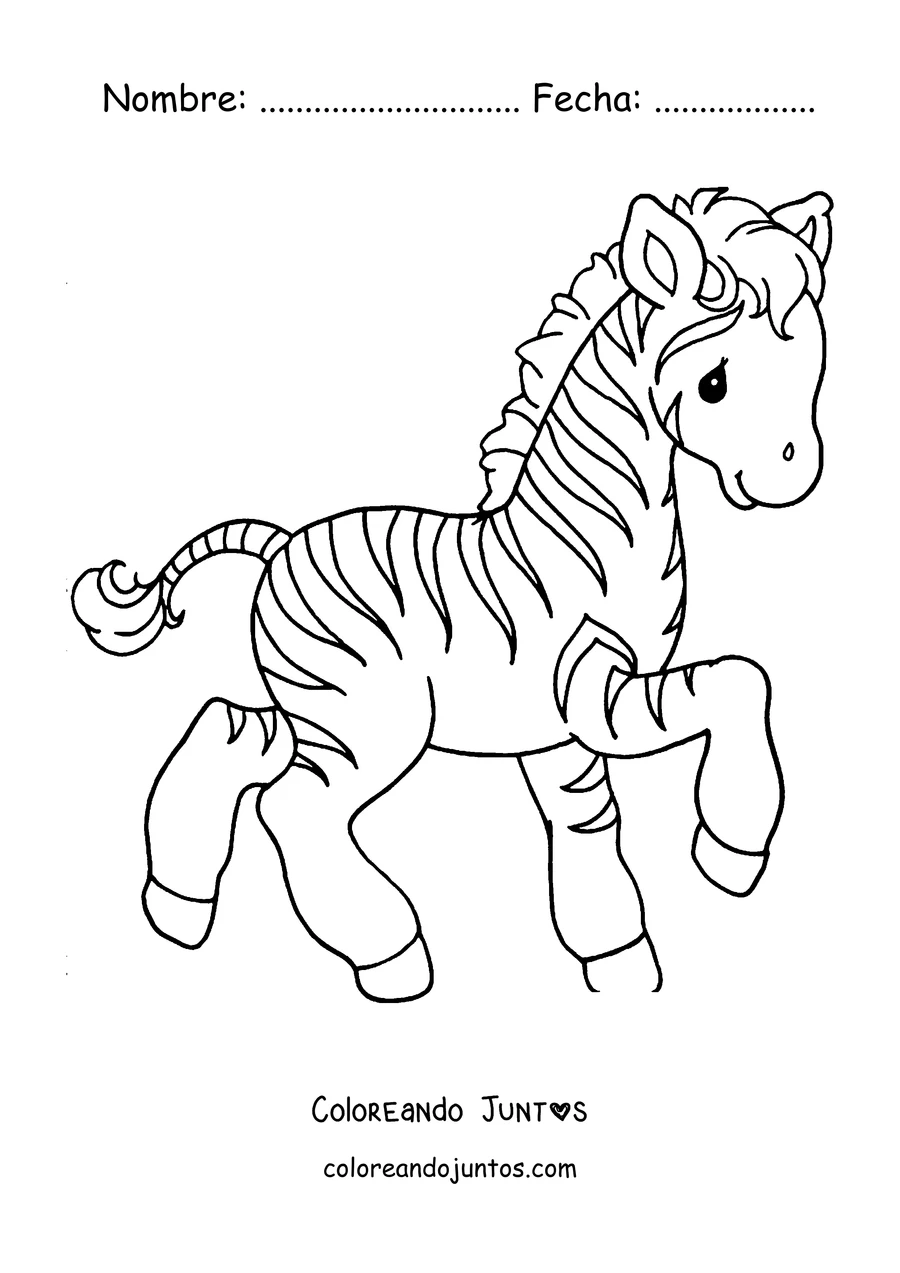 Imagen para colorear de una cebra bebé jugando