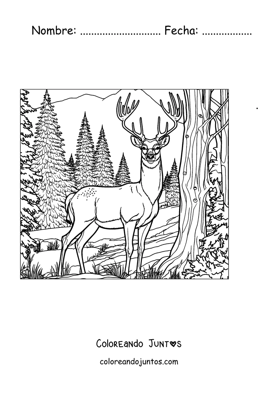 Imagen para colorear de un ciervo en el bosque de pinos