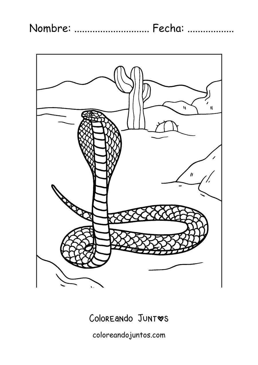 Imagen para colorear de una cobra con la capucha abierta