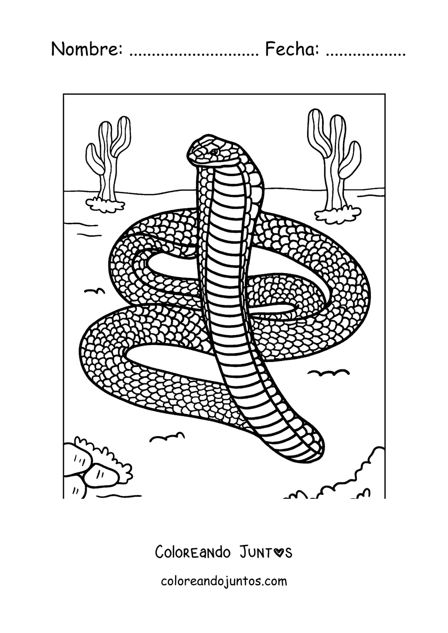 Imagen para colorear de una cobra real enroscada en el desierto
