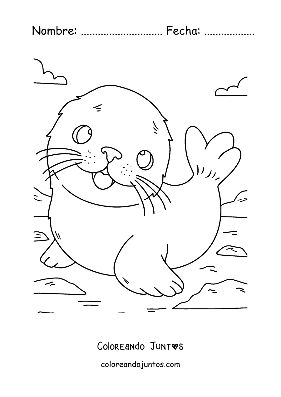 Imagen para colorear de una cría de foca arpa de pelaje blanco