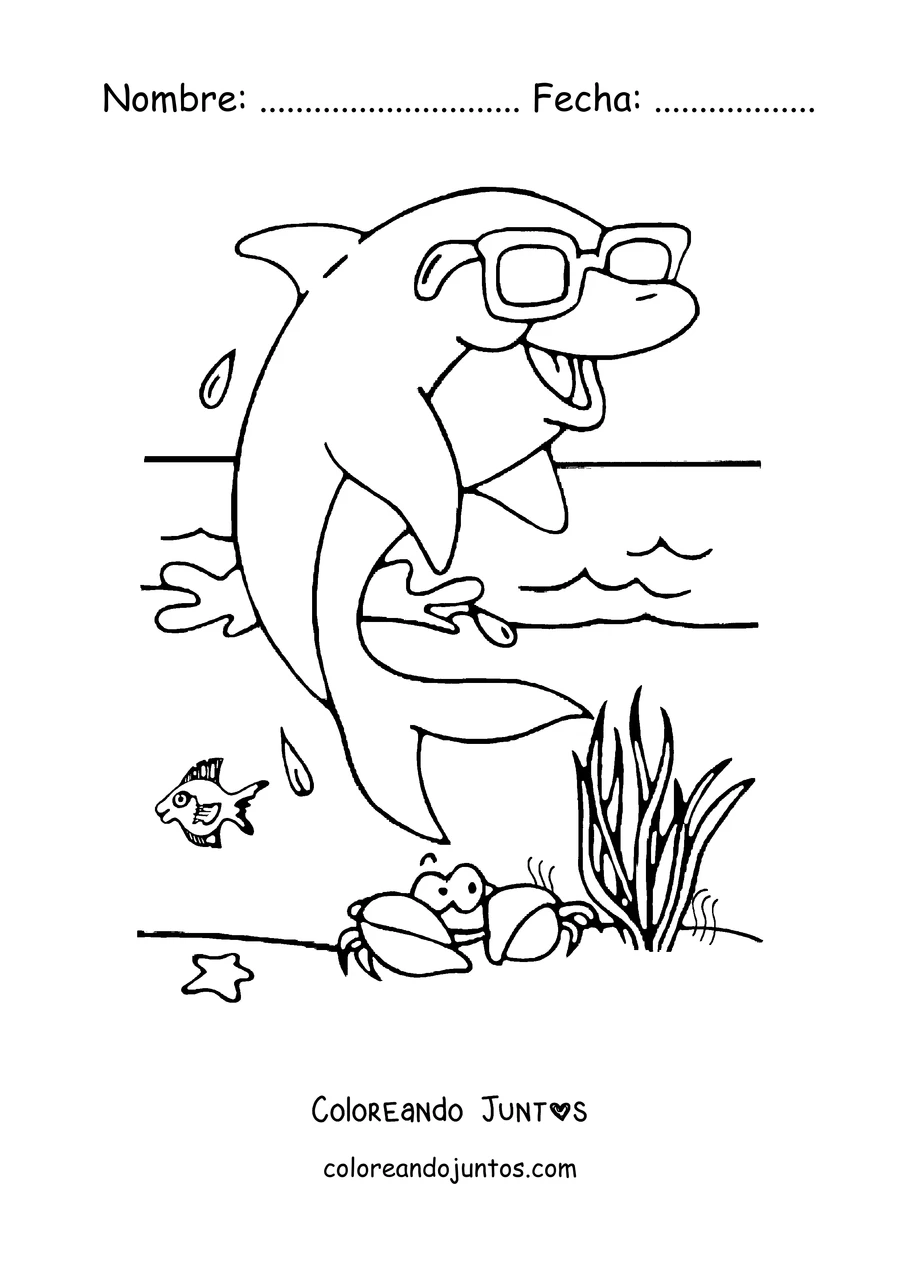 Imagen para colorear de un delfín con gafas de sol en la playa