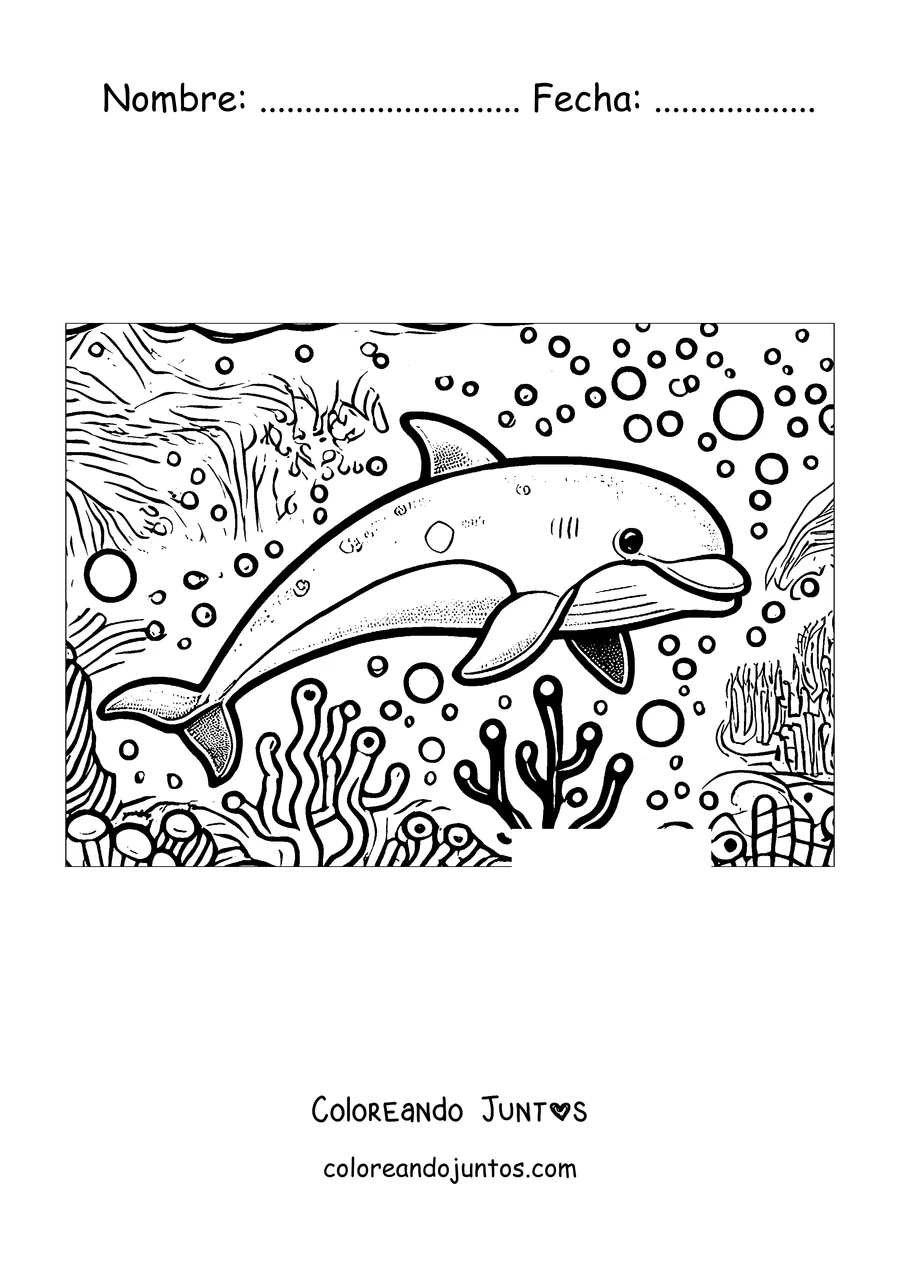 Imagen para colorear de un delfín nadando en el arrecife de coral