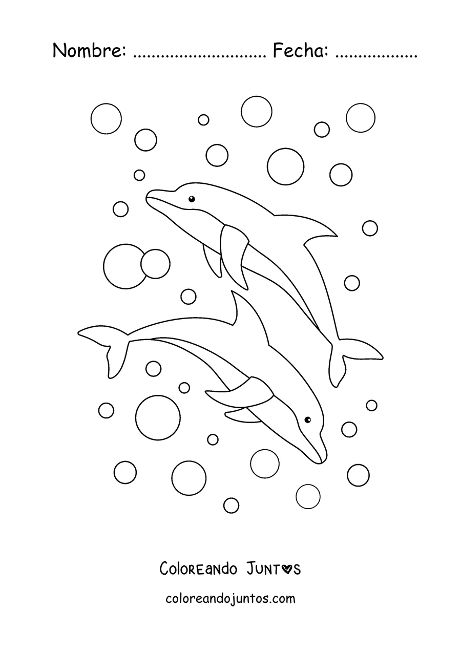 Imagen para colorear de dos delfines nadando entre burbujas