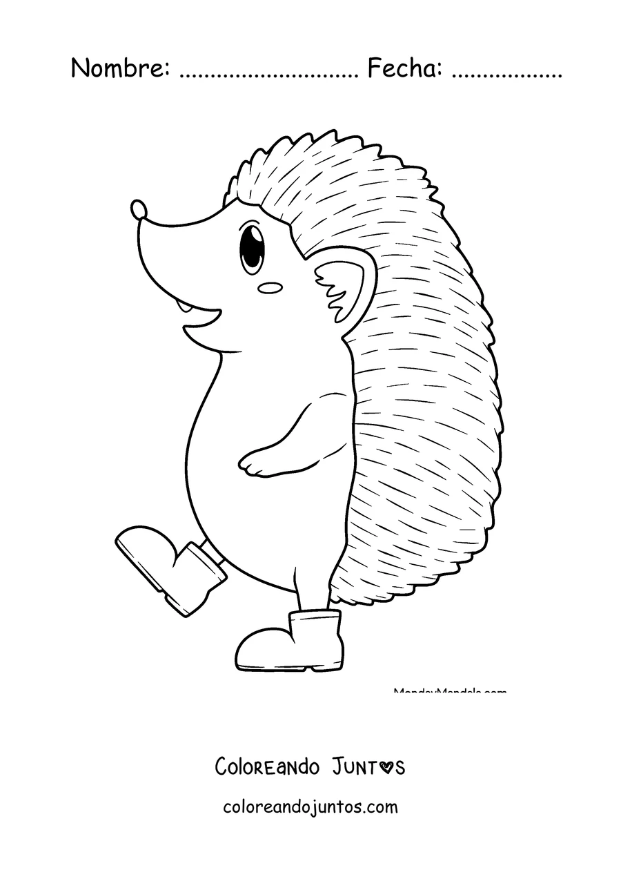 Imagen para colorear de un erizo caminando en dos patas con botas