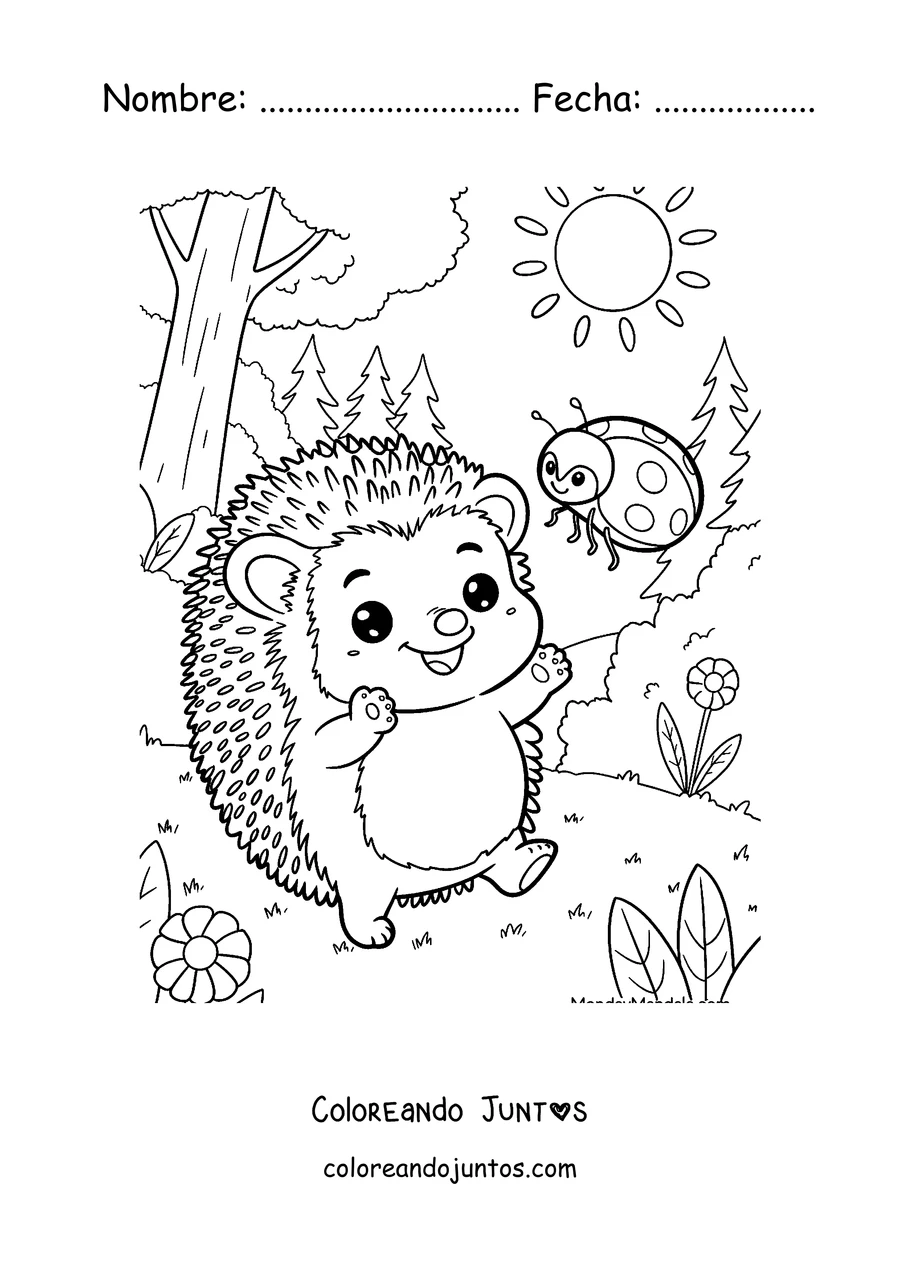 Imagen para colorear de un erizo bebé jugando con una mariquita