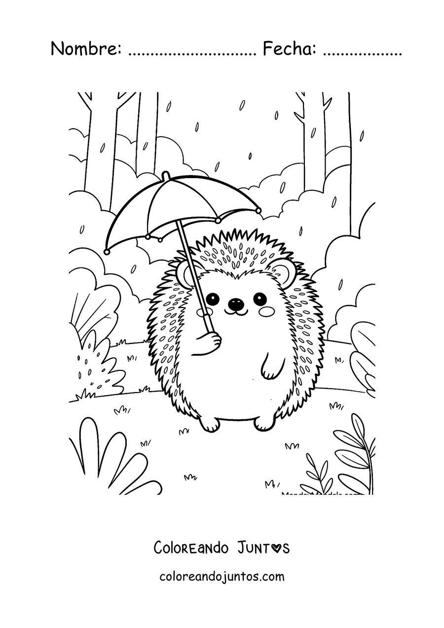 Imagen para colorear de un erizo con paraguas bajo la lluvia