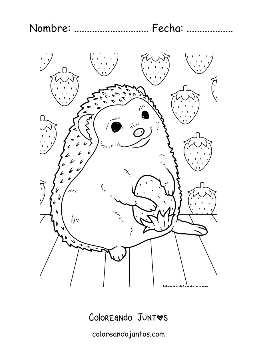 Imagen para colorear de un erizo con una ramita entre las bellotas