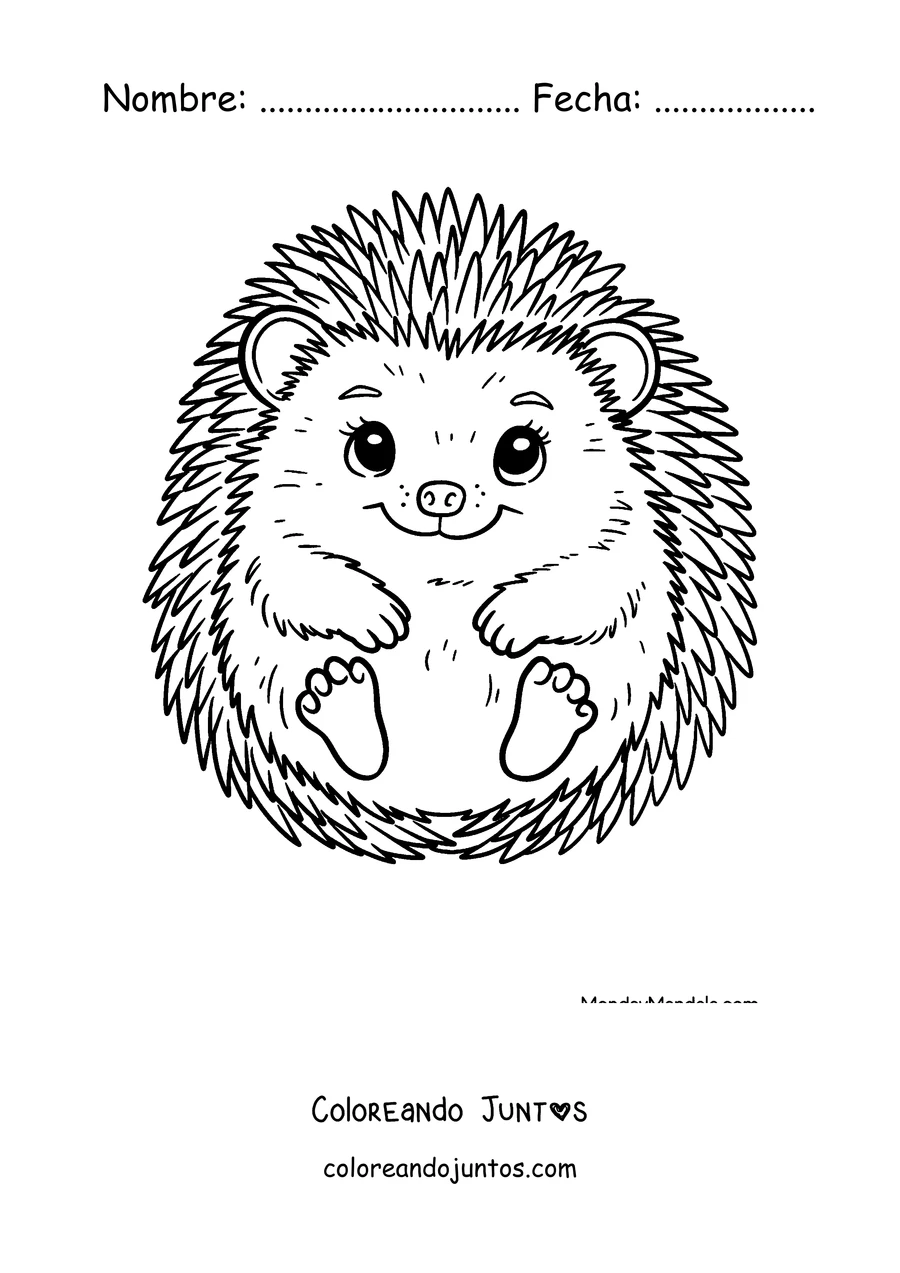 Imagen para colorear de un erizo sonriente sentado de frente