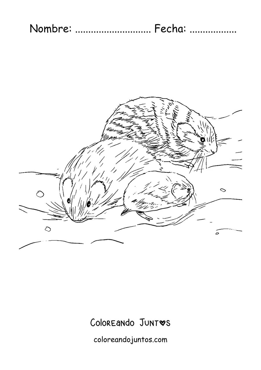 Imagen para colorear de una familia de lemmings en la nieve