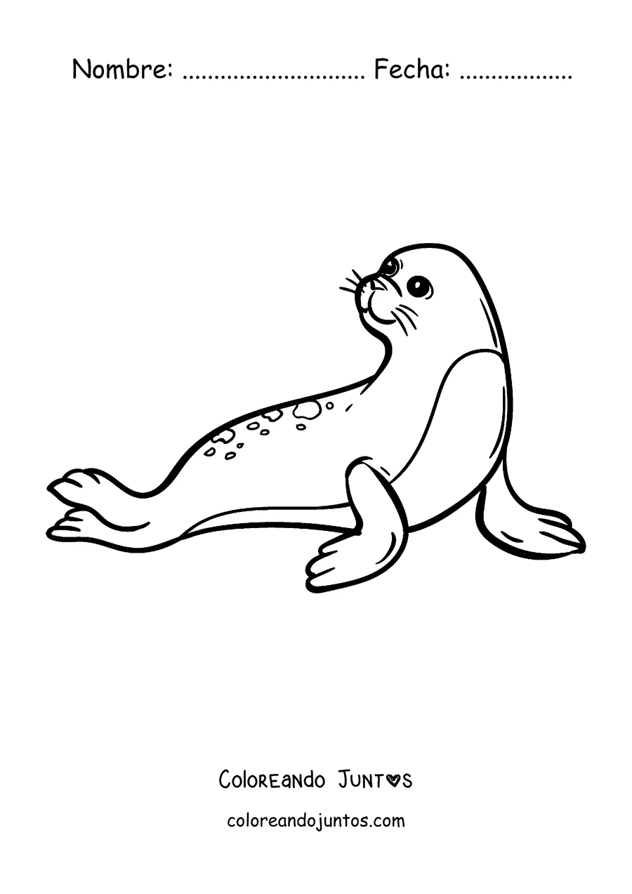 Imagen para colorear de una foca descansando sobre el hielo