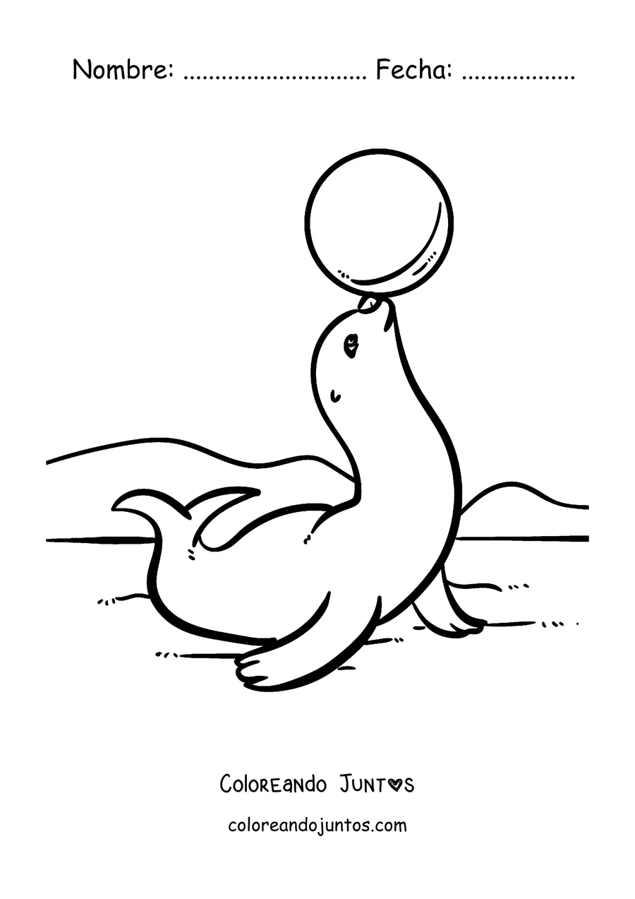 Imagen para colorear de una foca haciendo equilibrio con una pelota en la nariz