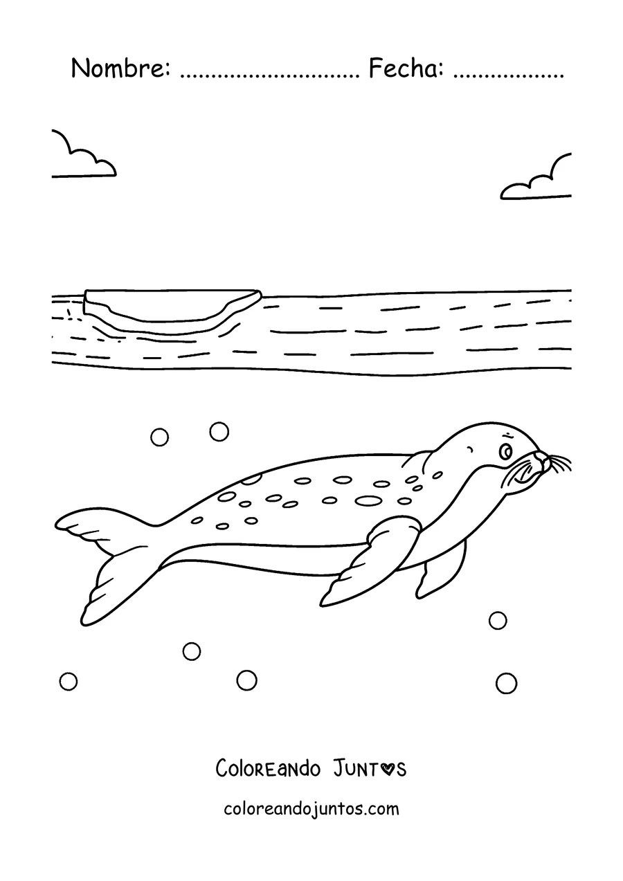 Imagen para colorear de una foca leopardo nadando