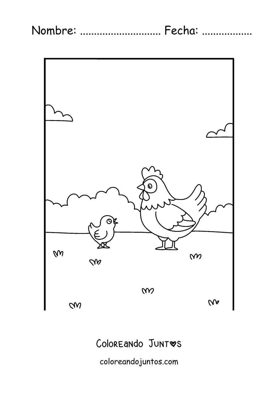 Imagen para colorear de una mama gallina con su pollito