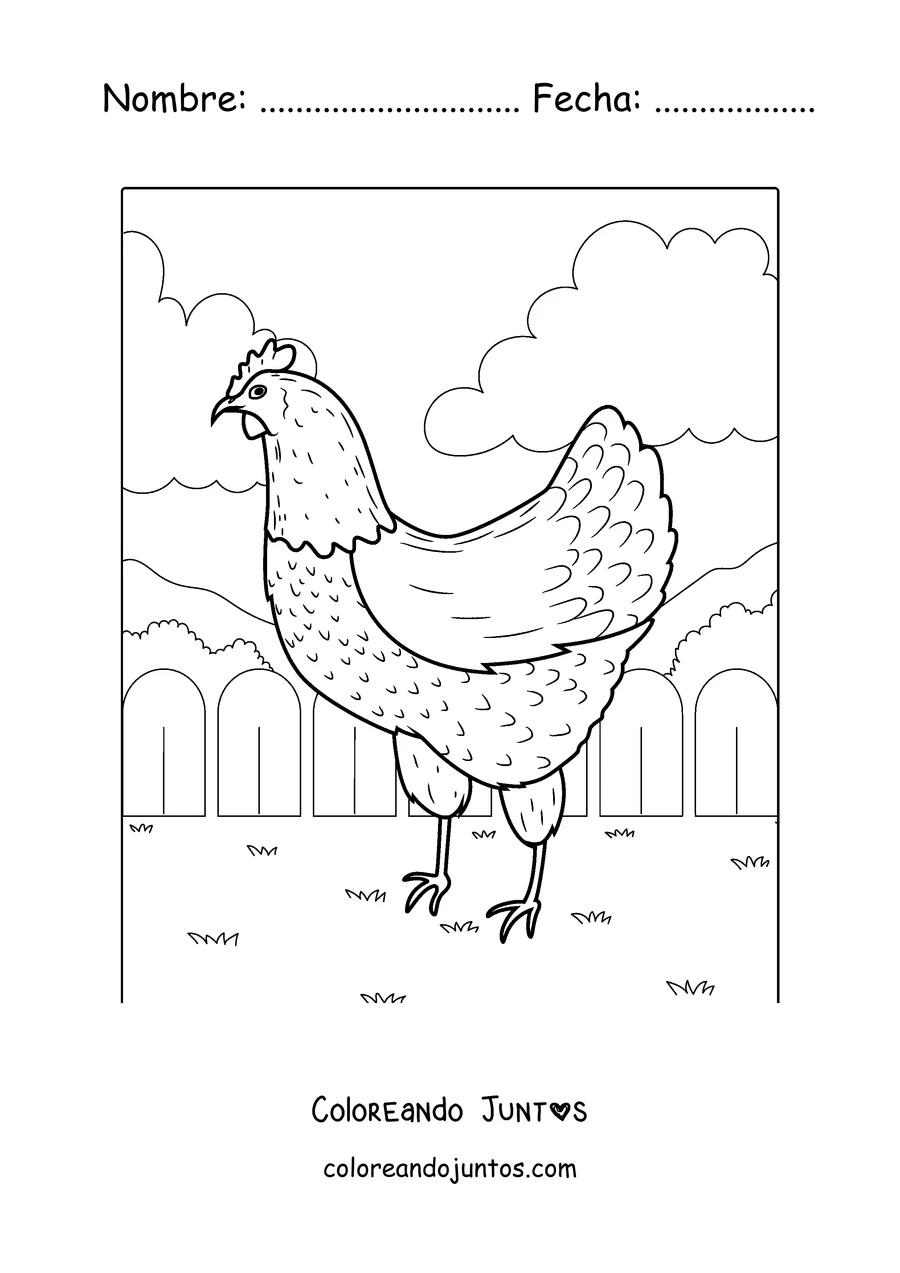 Imagen para colorear de una gallina detallada caminando por el corral