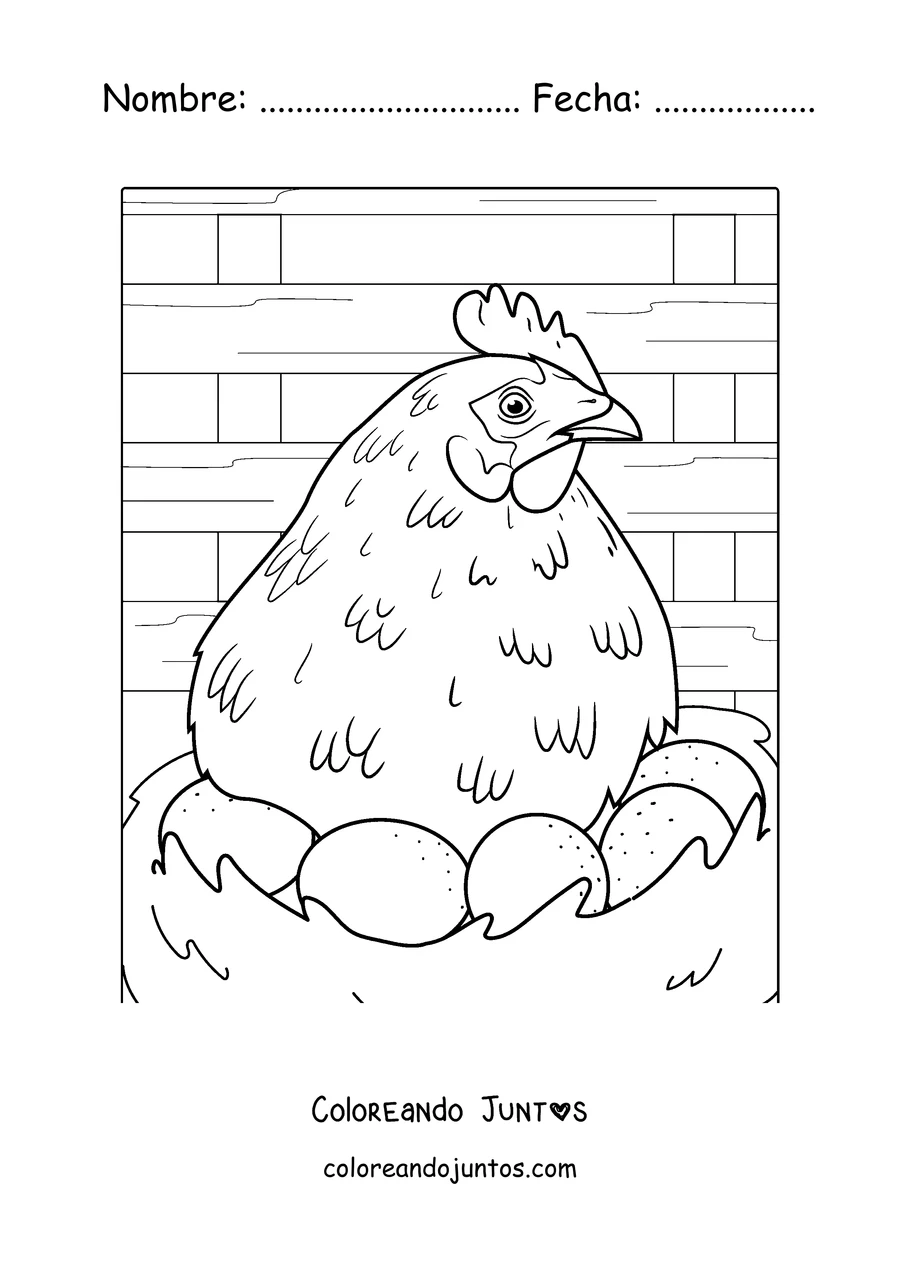 Imagen para colorear de una gallina empollando sus huevos