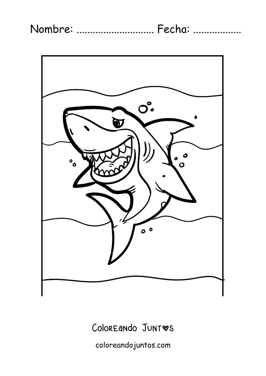 Imagen para colorear de un gran tiburón blanco mostrando los dientes