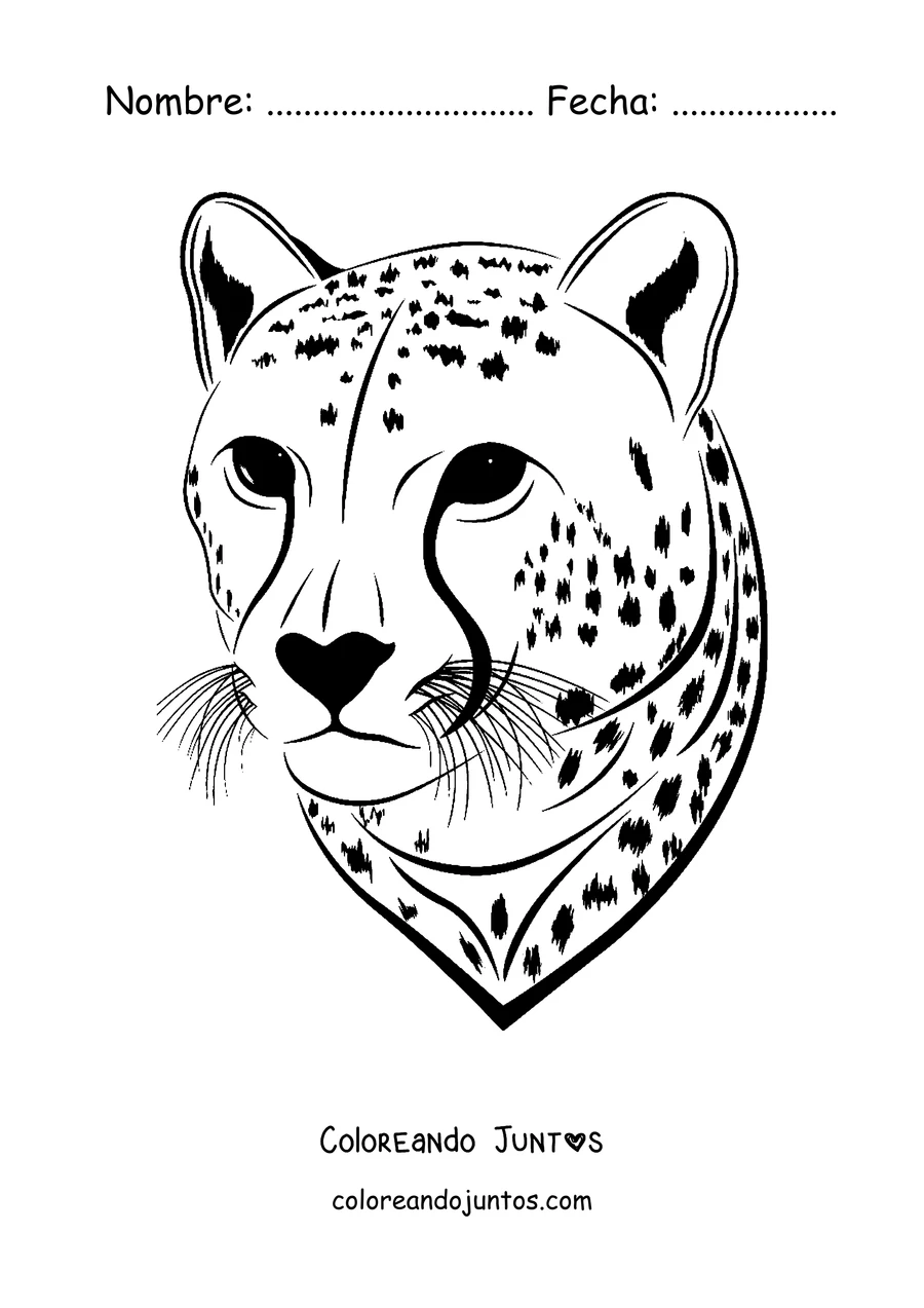 Imagen para colorear de la cara de un guepardo en primer plano