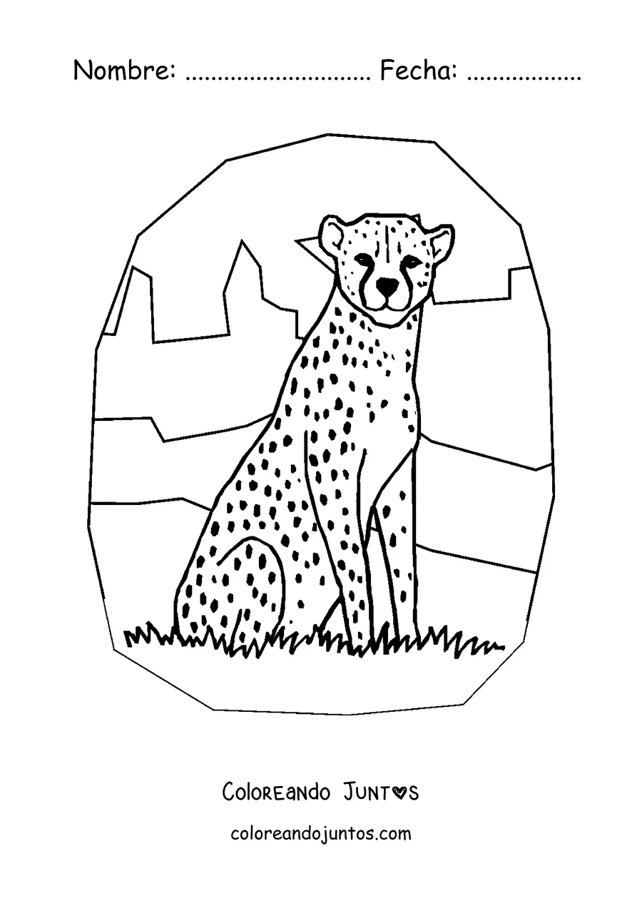 Imagen para colorear de un guepardo sentado en la sabana