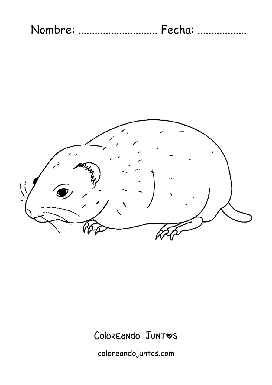 Imagen para colorear de un lemming caminando de perfil