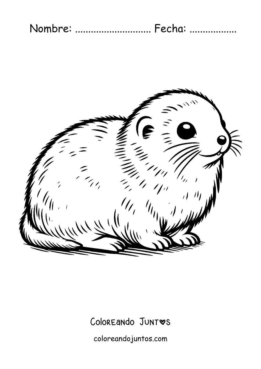 Imagen para colorear de un lemming redondito descansando