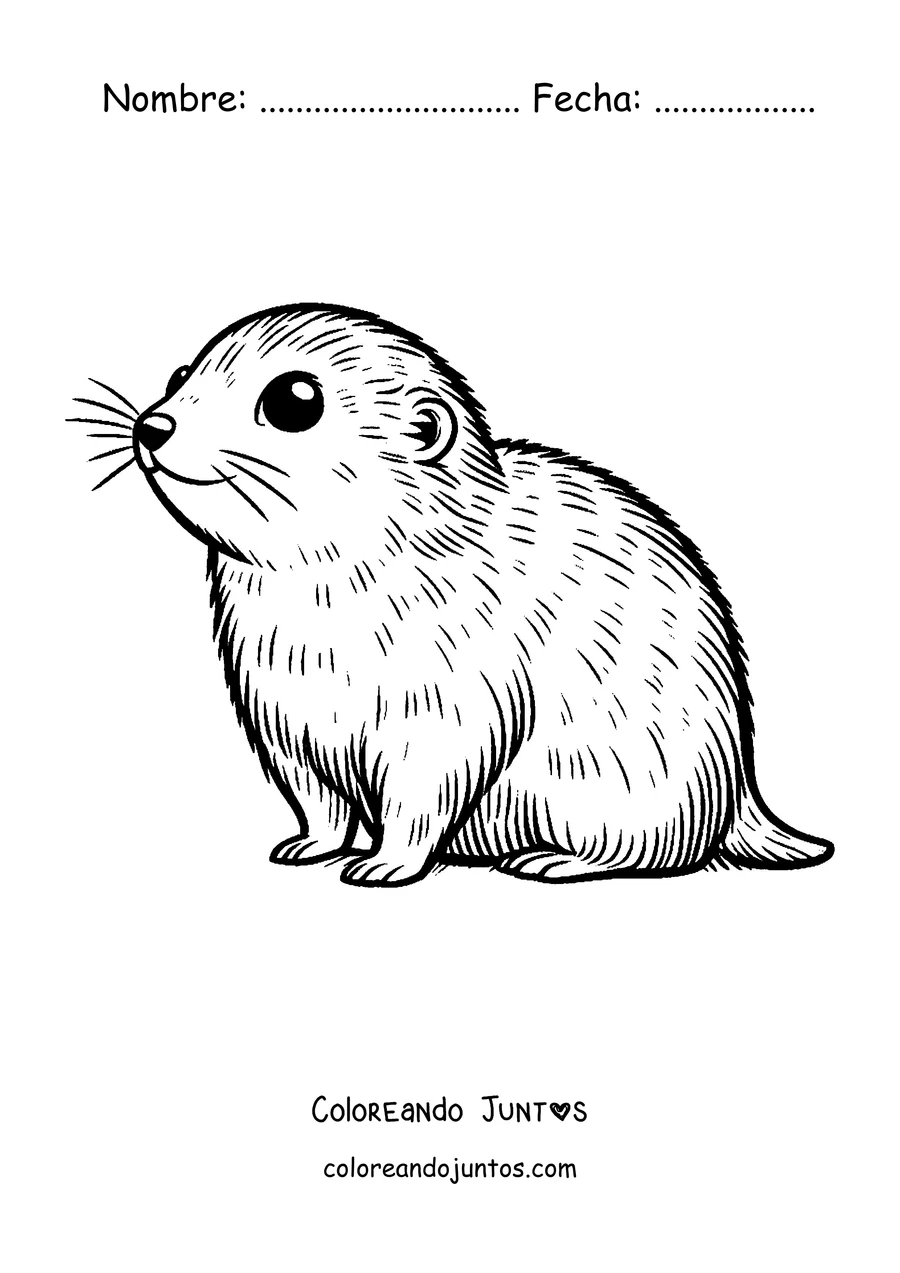 Imagen para colorear de un lemming sentado de perfil con bigotes