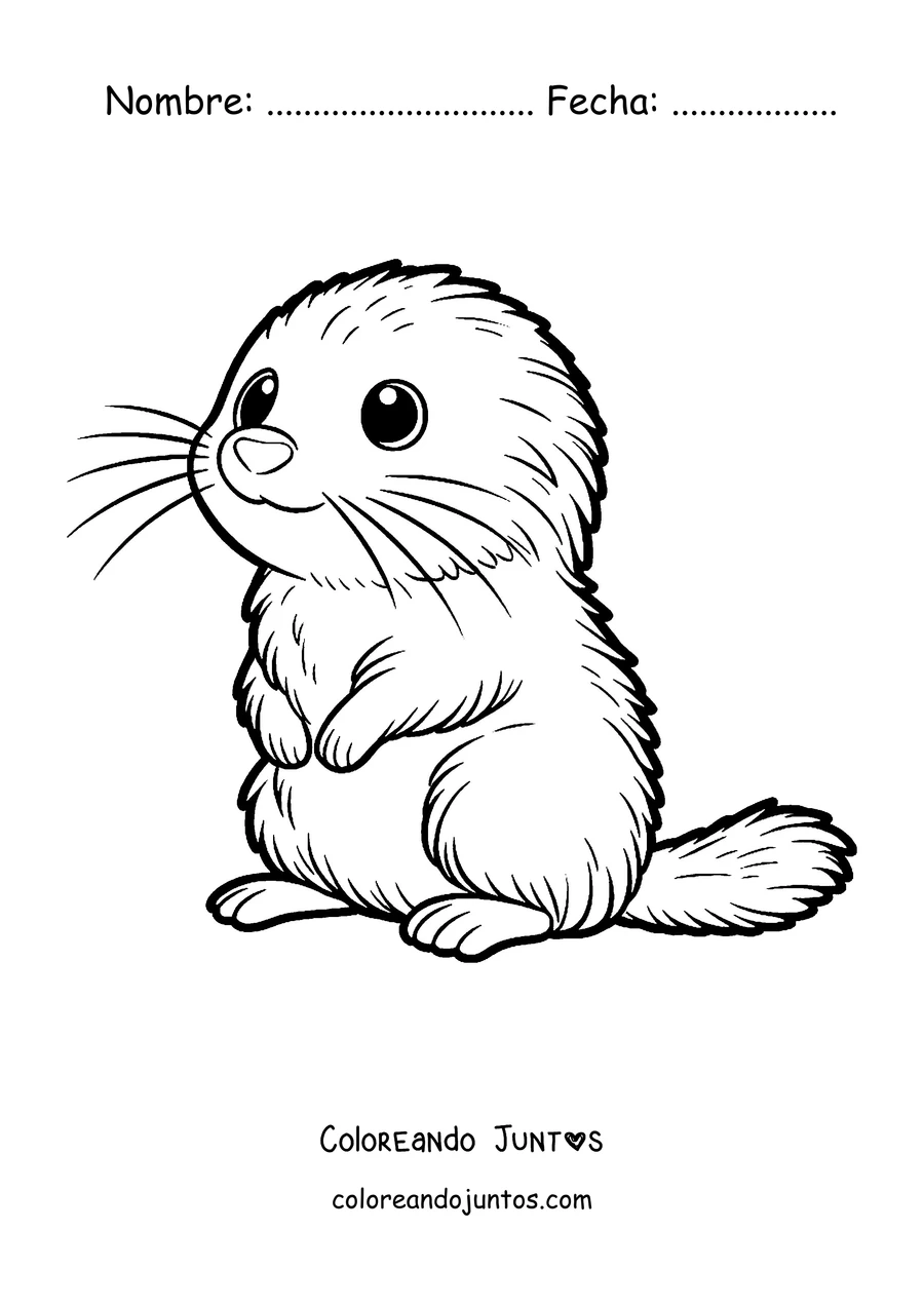 Imagen para colorear de un lemming tierno sentado de frente