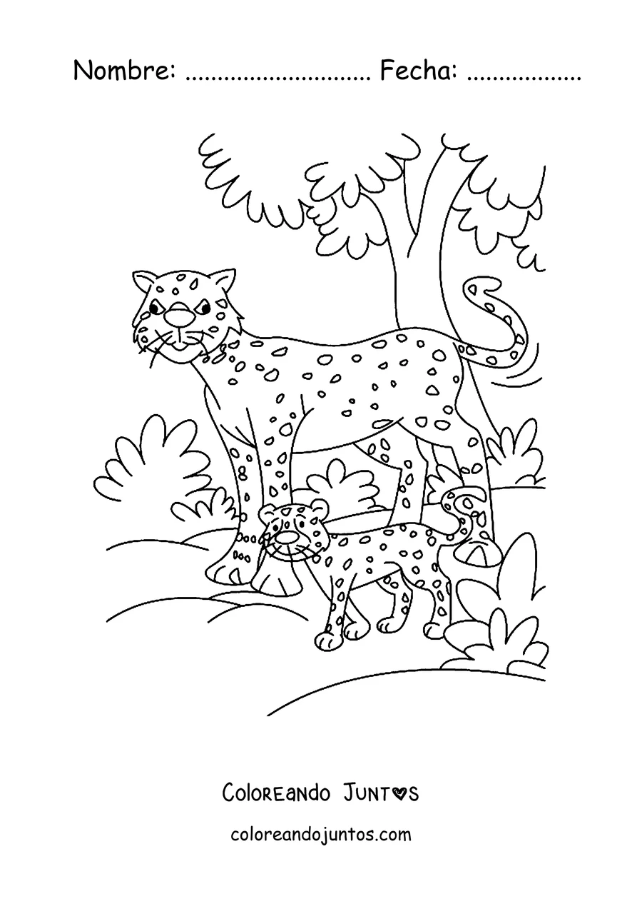 Imagen para colorear de una mamá guepardo paseando con su cría