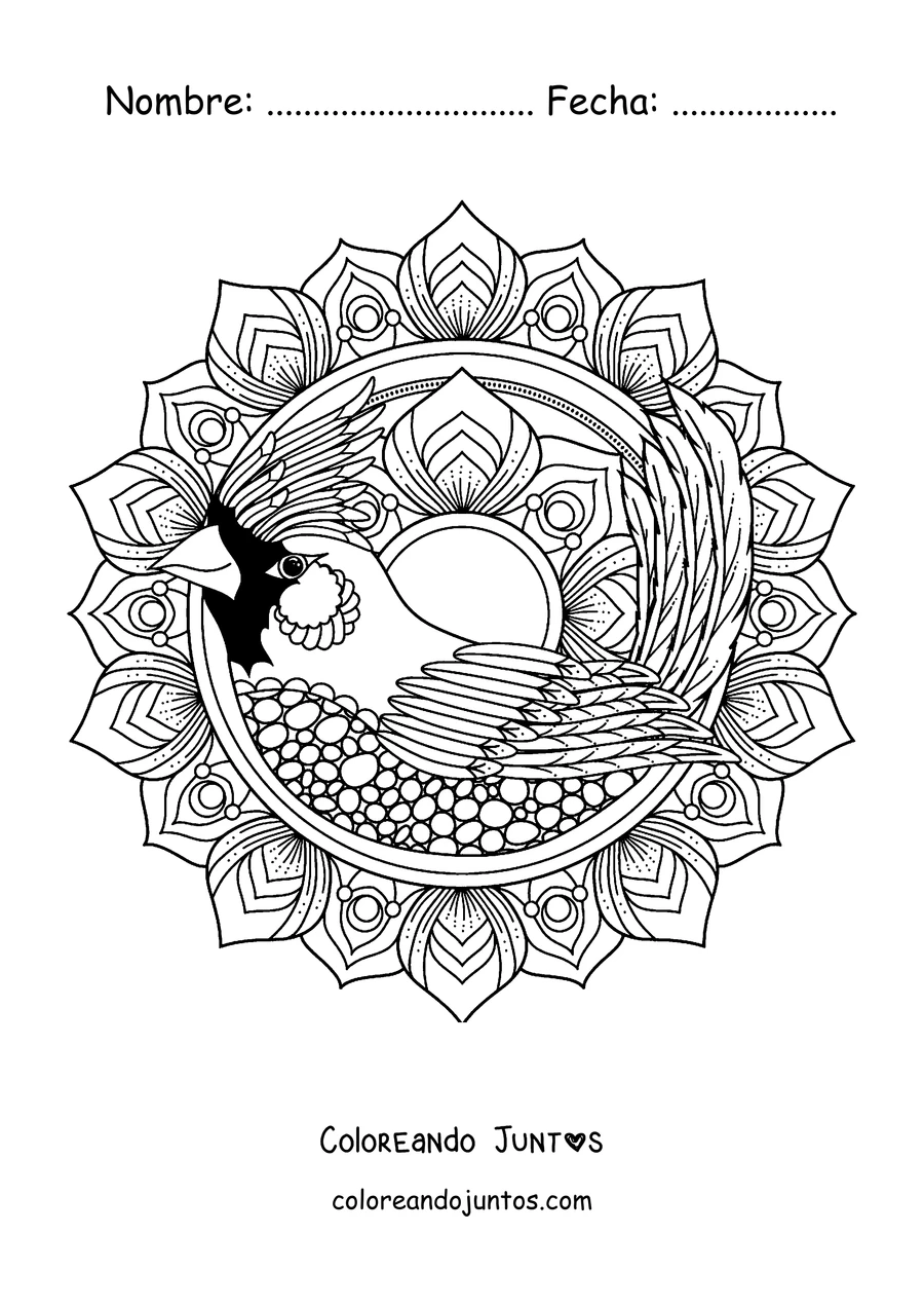 Imagen para colorear de un mandala de invierno con un pájaro cardenal rodeado de pétalos