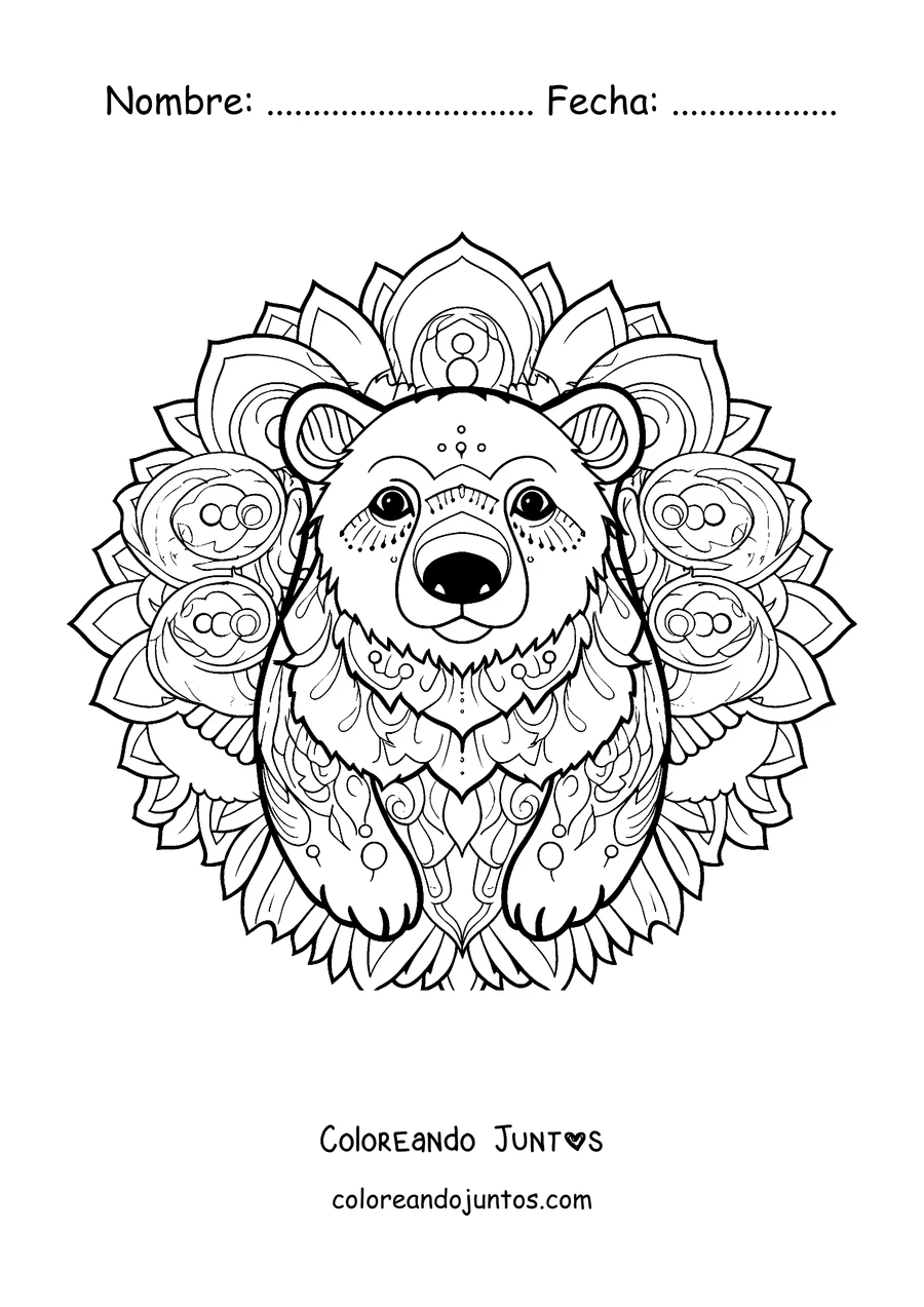 Imagen para colorear de un mandala de invierno con la cara de un oso polar sobre figuras circulares