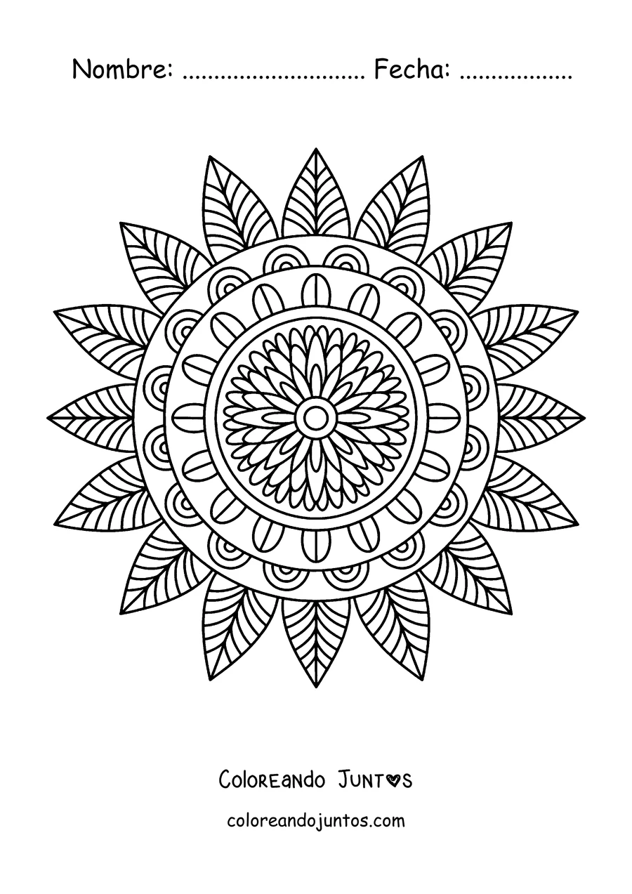 Imagen para colorear de un mandala de otoño en forma de girasol con pétalos puntiagudos