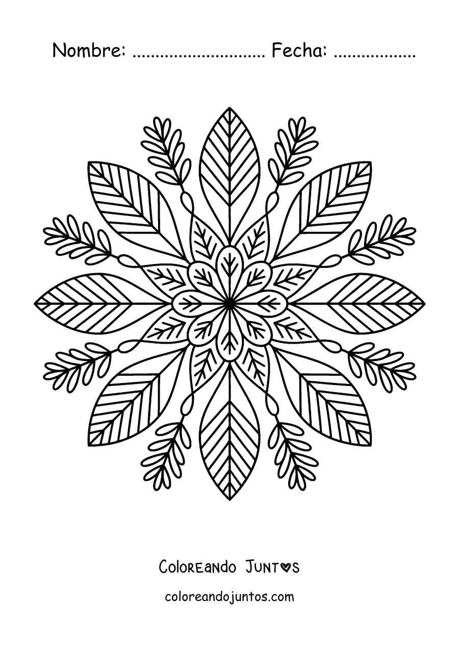 Imagen para colorear de un mandala de otoño con hojas alargadas que salen del centro