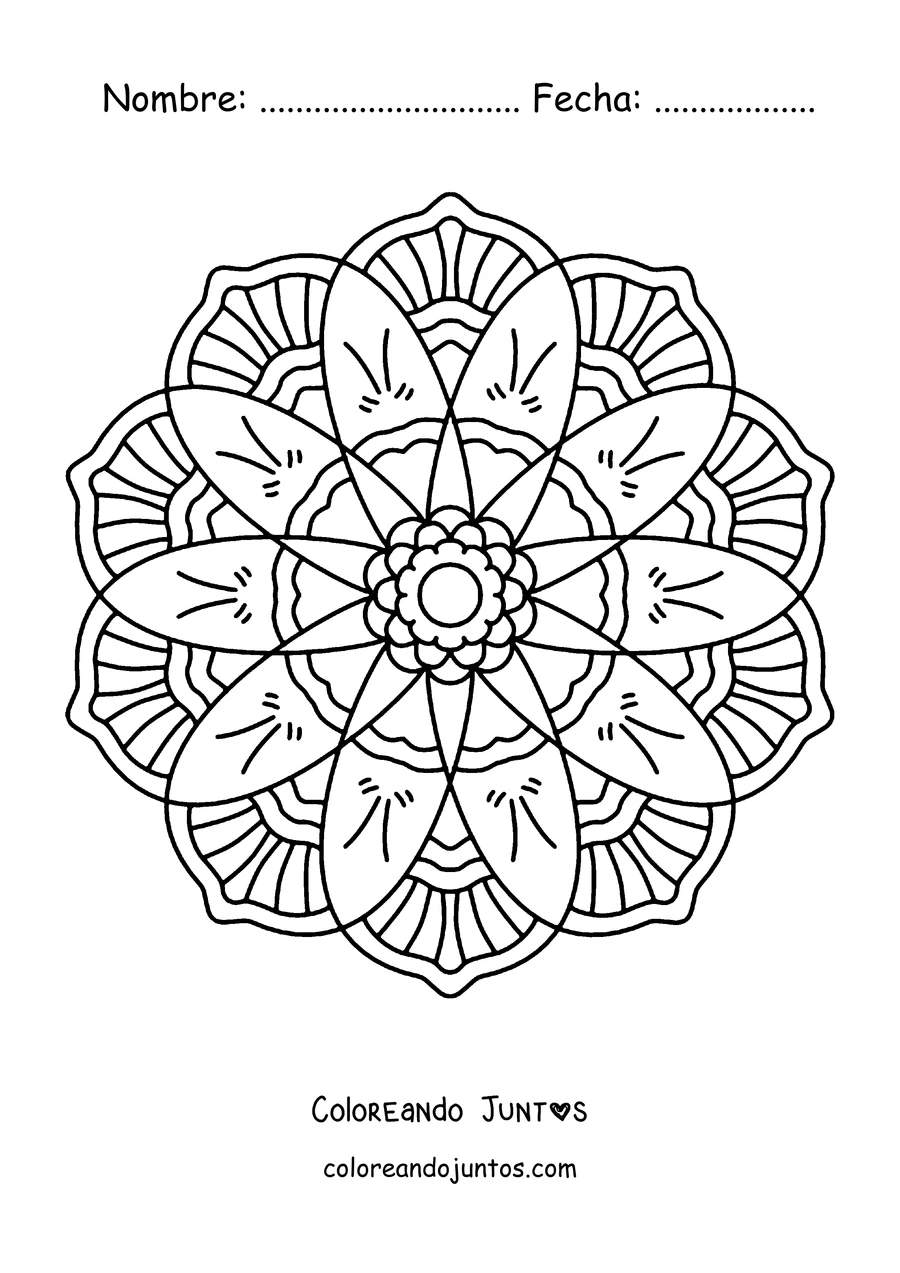 Imagen para colorear de un mandala de primavera redondo con pétalos largos y anillo de flores