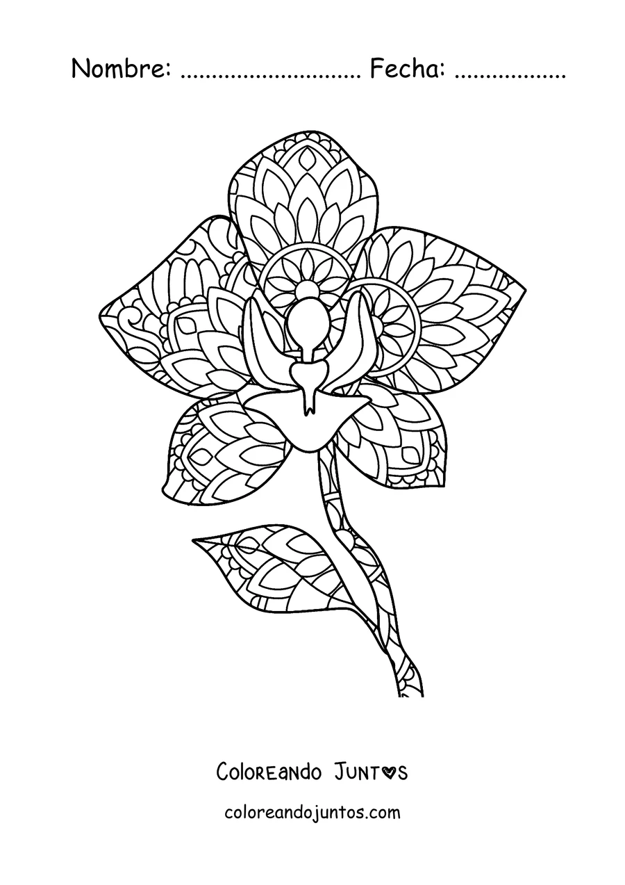 Imagen para colorear de un mandala de primavera con forma de orquídea con pétalos decorados