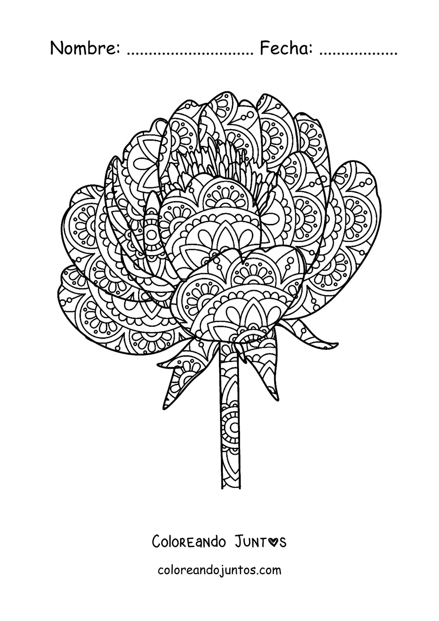 Imagen para colorear de un mandala de primavera con forma de peonía llena de pétalos con detalles