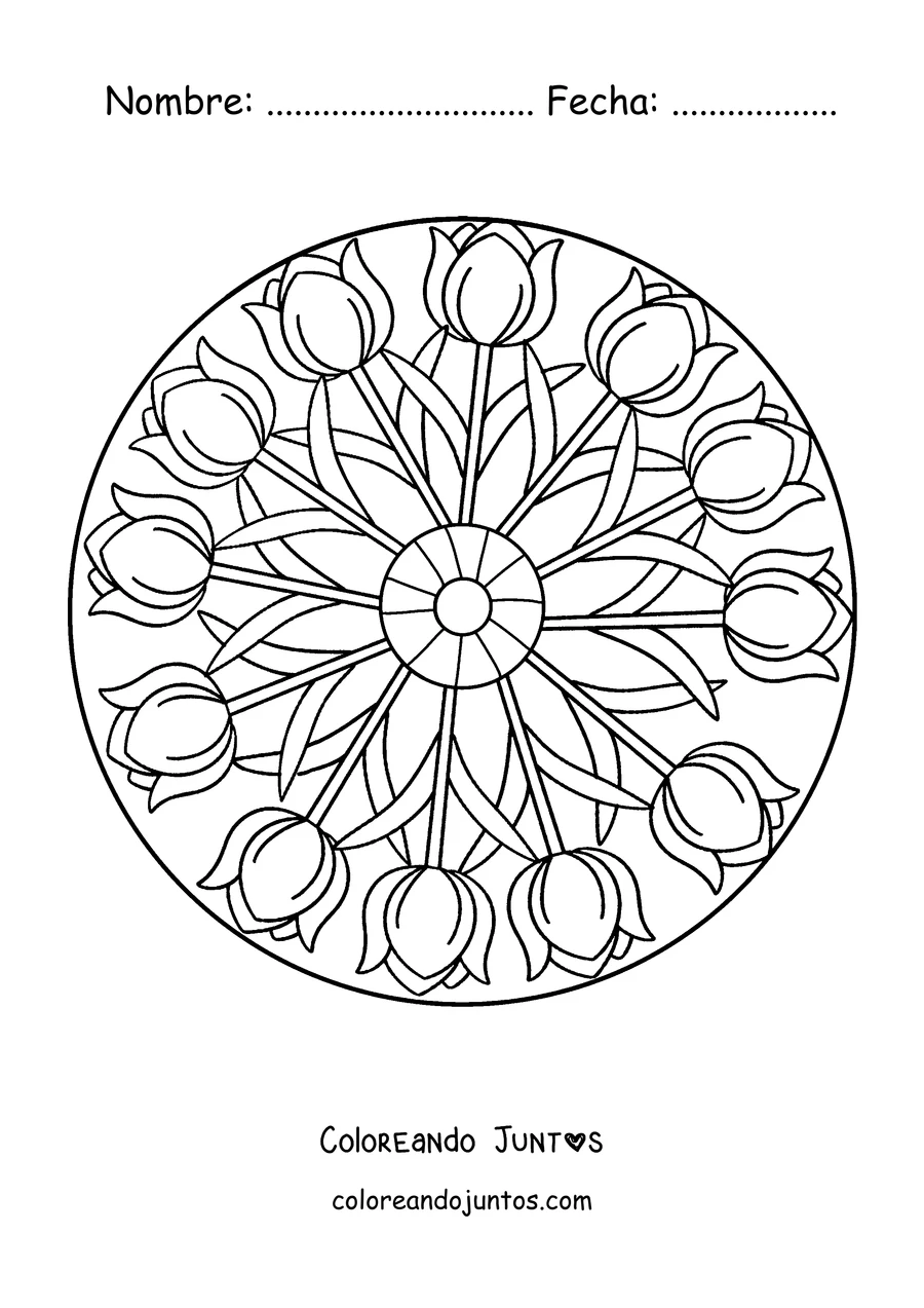 Imagen para colorear de un mandala de primavera con tulipanes en círculo alrededor del centro
