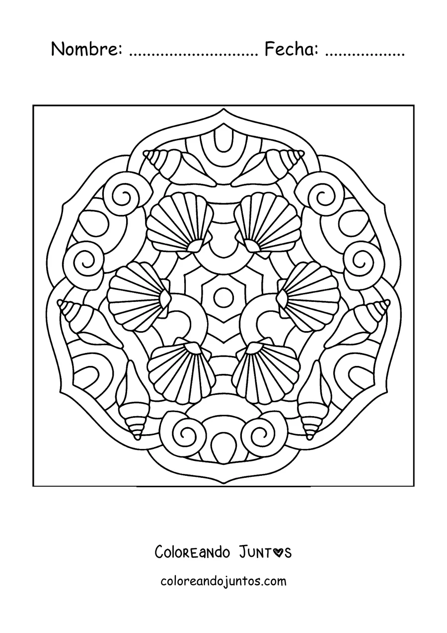 Imagen para colorear de un mandala de verano formado por caracolas y conchas marinas