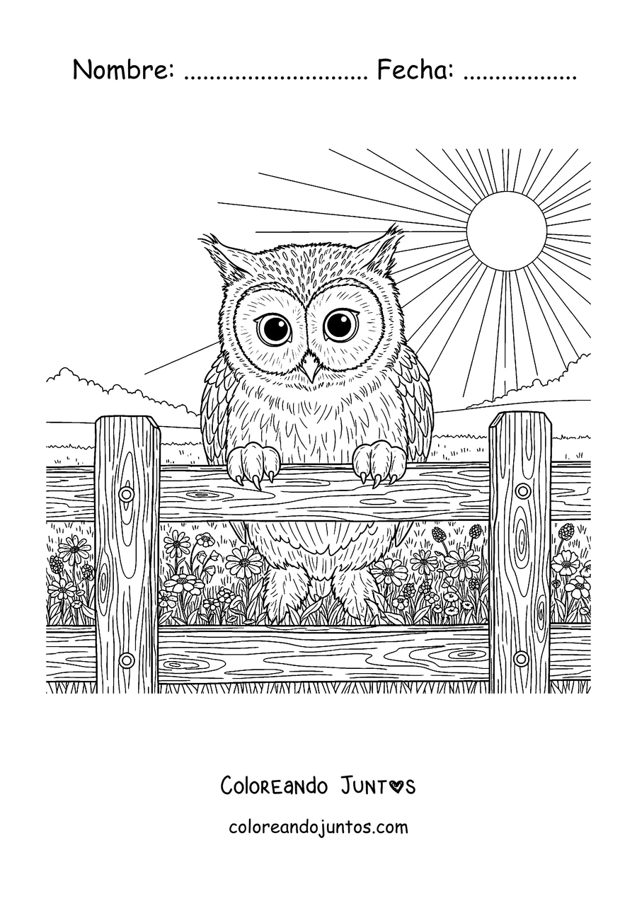 Imagen para colorear de un Meowl posado en una cerca al sol
