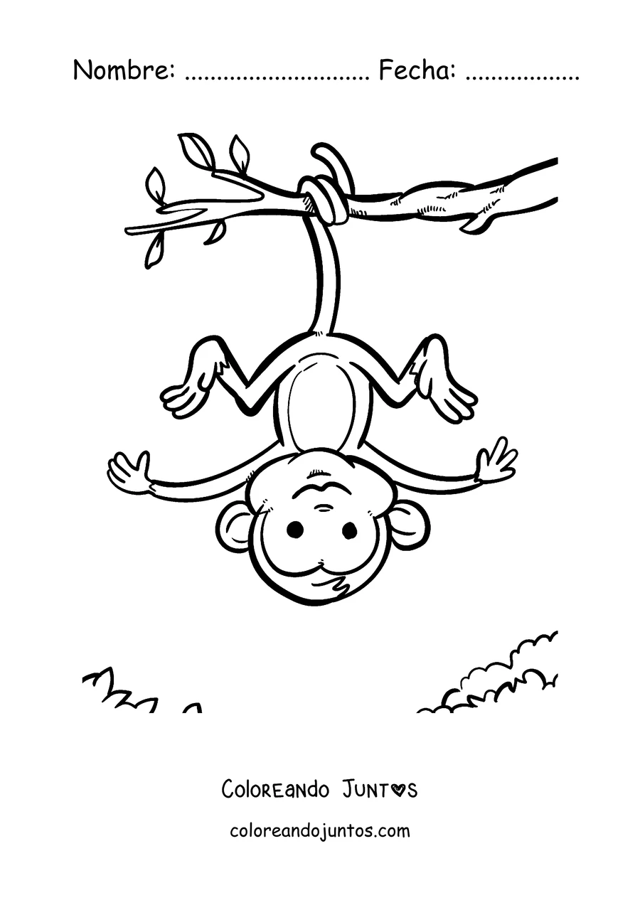 Imagen para colorear de un mono colgado de cabeza desde una rama